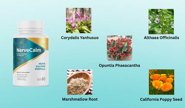 nerve calm reviews ingredients