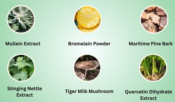 Pulmo-Balance-review-ingredients-list