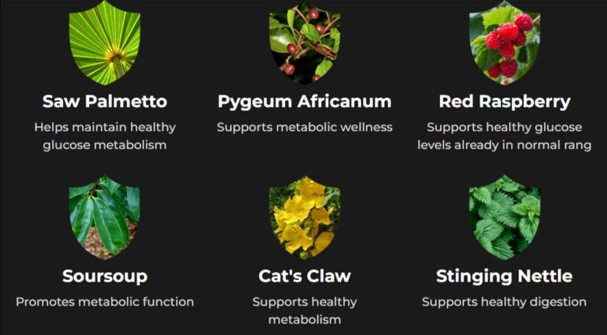 Prosta Defend ingredients label – Saw Palmetto, Pygeum Africanum, Red Raspberry, Soursop, Cat's Claw, Stinging Nettle