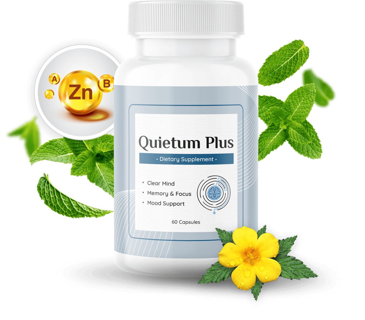 quietum-plus-2