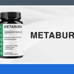 Metaburn Price in 2026: 5 Key Factors to Consider