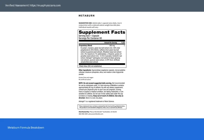 Metaburn Price in 2026: 5 Key Factors to Consider