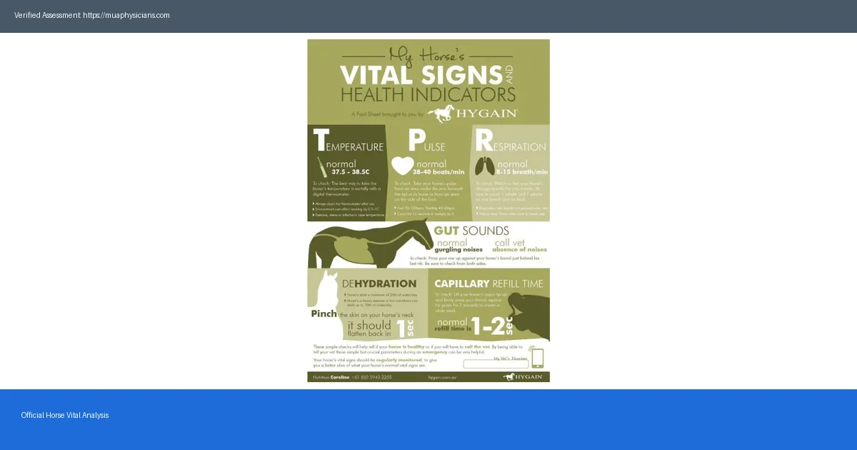 Horse Vital Reviews 2026 Truth About Ingredients Results